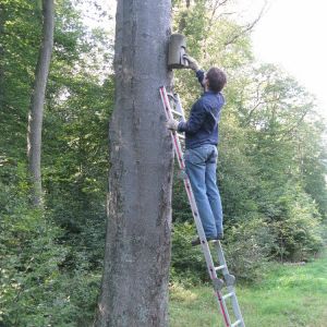 Die Fledermauskastenkontrolle ist immer spannend!