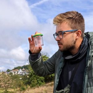 Das FÖJ vermittelt Artenkenntnisse - hier bei der Kartierung seltener Heuschrecken.