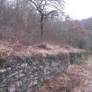 Freistellen einer Trockenmauer bei Osterspai durch das das Forstamt Lahnstein.JPG